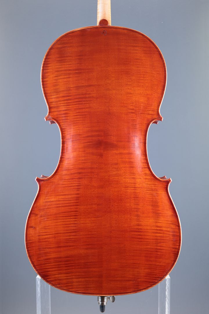 Klotz Julia - Mittenwald Anno 2026 - Palmkatzl - C-436